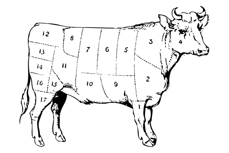 Beef diagram png sticker, cow hand drawn illustration